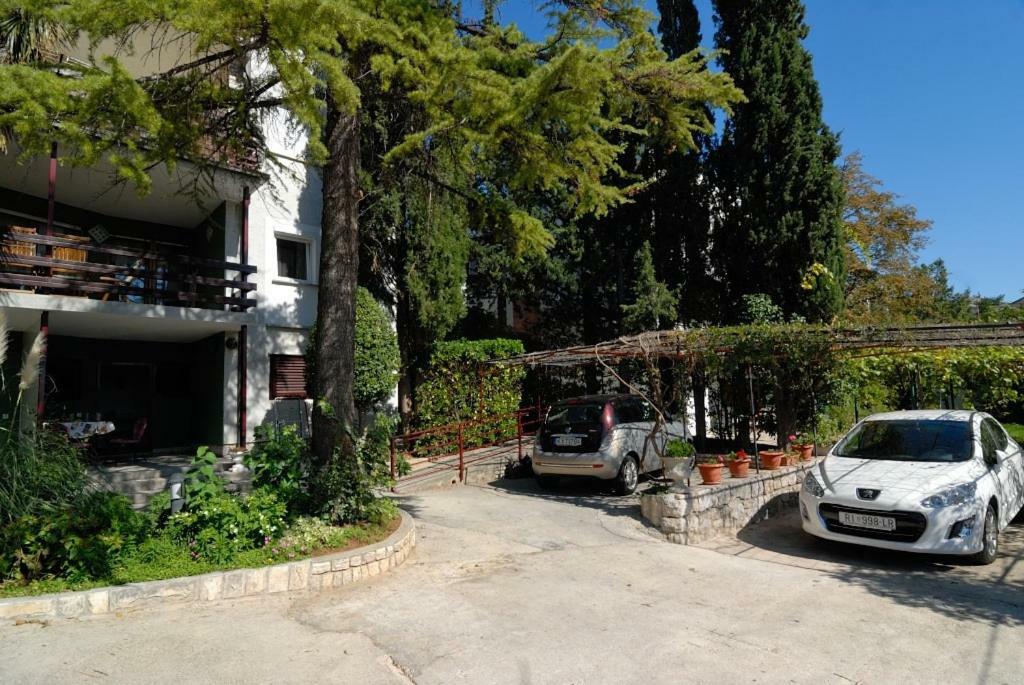 Apartments Sabina - 100M From Sea Crikvenica Zewnętrze zdjęcie